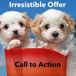 Irresistible Offer Call to Action