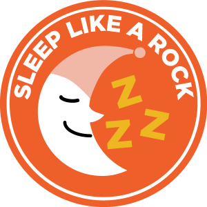 <span class="text-bold">Sleep Like a Rock</span><br>Website Hosting and Support Plan